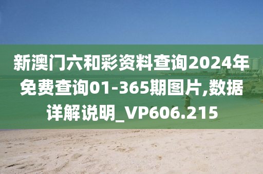 新澳門六和彩資料查詢2024年免費(fèi)查詢01-365期圖片,數(shù)據(jù)詳解說明_VP606.215
