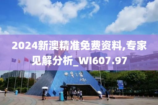 2024新澳精準免費資料,專家見解分析_WI607.97