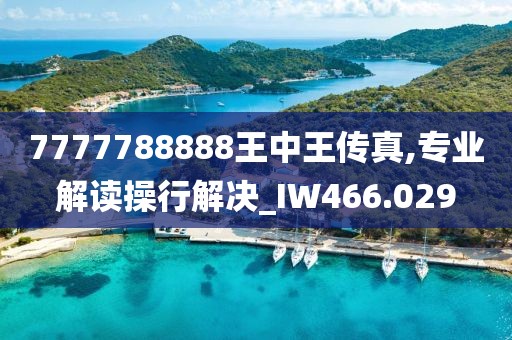 7777788888王中王傳真,專業(yè)解讀操行解決_IW466.029