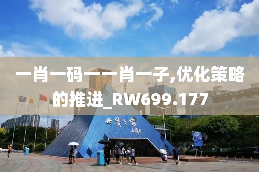 一肖一碼一一肖一子,優(yōu)化策略的推進(jìn)_RW699.177