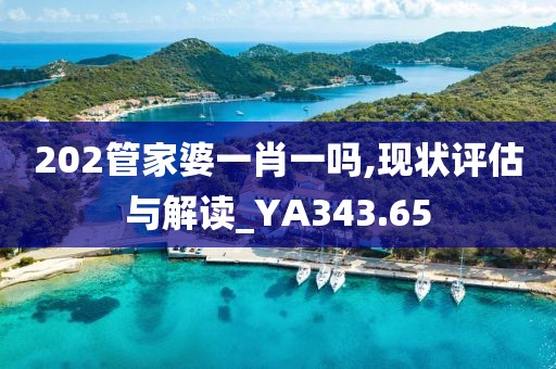 202管家婆一肖一嗎,現(xiàn)狀評(píng)估與解讀_YA343.65