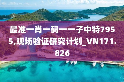 最準一肖一碼一一子中特7955,現(xiàn)場驗證研究計劃_VN171.826