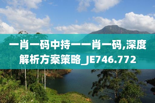 一肖一碼中持一一肖一碼,深度解析方案策略_JE746.772
