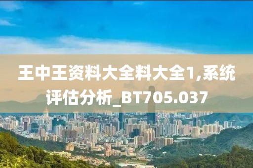 王中王資料大全料大全1,系統(tǒng)評估分析_BT705.037