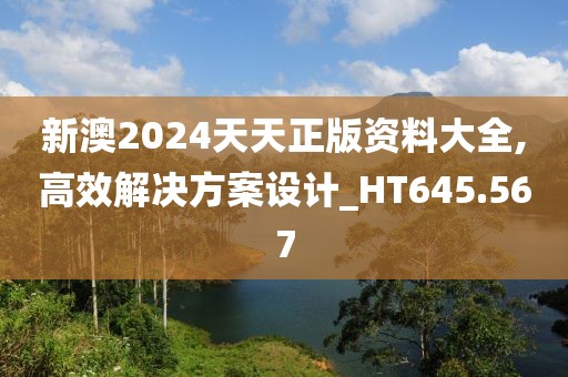 新澳2024天天正版資料大全,高效解決方案設(shè)計(jì)_HT645.567