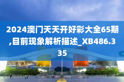 2024澳門天天開好彩大全65期,目前現(xiàn)象解析描述_XB486.335