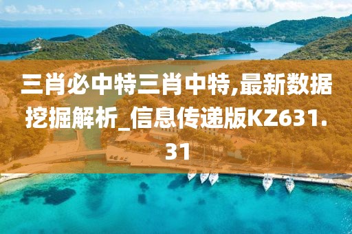 三肖必中特三肖中特,最新數(shù)據(jù)挖掘解析_信息傳遞版KZ631.31