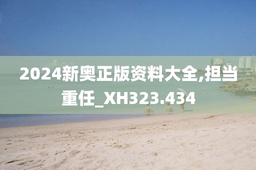2024新奧正版資料大全,擔(dān)當(dāng)重任_XH323.434