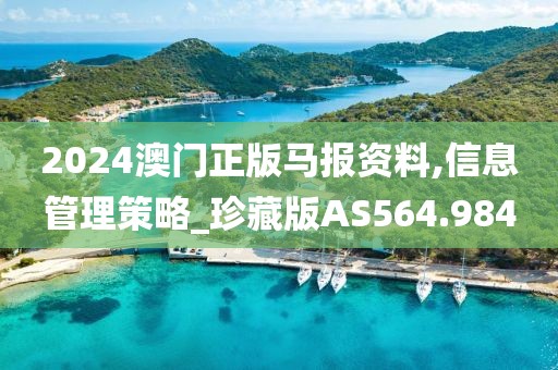 2024澳門正版馬報資料,信息管理策略_珍藏版AS564.984