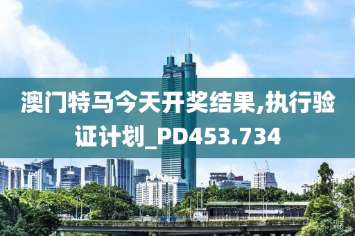 澳門特馬今天開獎結(jié)果,執(zhí)行驗證計劃_PD453.734