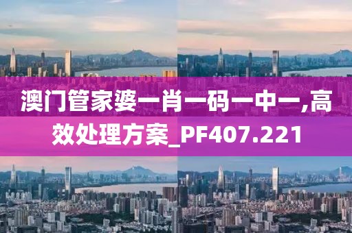 澳門管家婆一肖一碼一中一,高效處理方案_PF407.221
