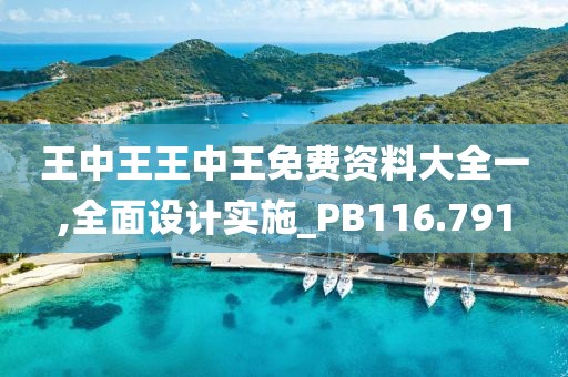 王中王王中王免費資料大全一,全面設(shè)計實施_PB116.791