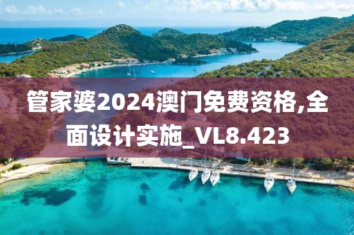 管家婆2024澳門免費(fèi)資格,全面設(shè)計(jì)實(shí)施_VL8.423