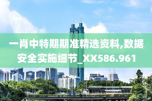一肖中特期期準(zhǔn)精選資料,數(shù)據(jù)安全實(shí)施細(xì)節(jié)_XX586.961
