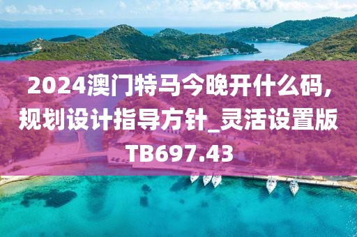 2024澳門特馬今晚開什么碼,規(guī)劃設計指導方針_靈活設置版TB697.43