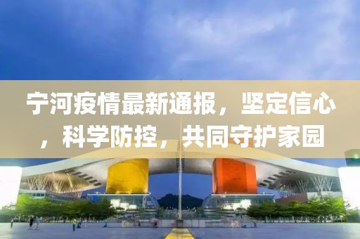 寧河疫情最新通報，堅定信心，科學(xué)防控，共同守護家園