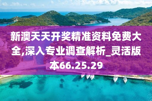 新澳天天開獎(jiǎng)精準(zhǔn)資料免費(fèi)大全,深入專業(yè)調(diào)查解析_靈活版本66.25.29