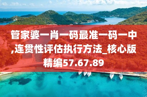 管家婆一肖一碼最準(zhǔn)一碼一中,連貫性評(píng)估執(zhí)行方法_核心版精編57.67.89