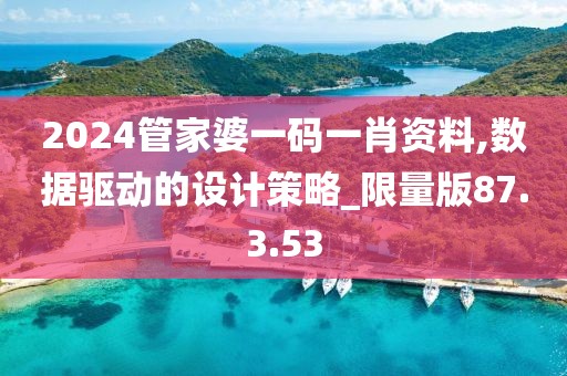 2024管家婆一碼一肖資料,數(shù)據(jù)驅(qū)動(dòng)的設(shè)計(jì)策略_限量版87.3.53