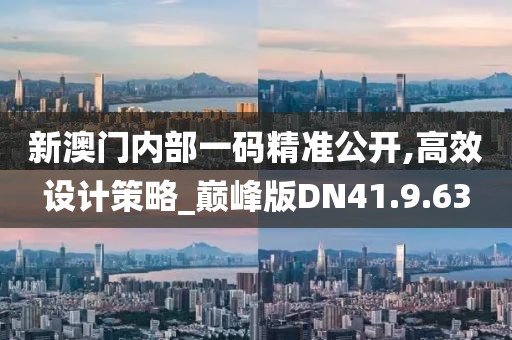 新澳門內(nèi)部一碼精準(zhǔn)公開,高效設(shè)計策略_巔峰版DN41.9.63