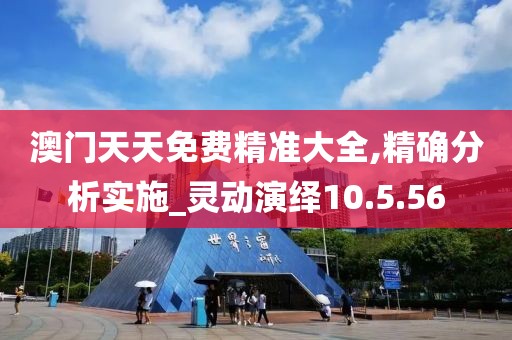澳門天天免費(fèi)精準(zhǔn)大全,精確分析實(shí)施_靈動(dòng)演繹10.5.56
