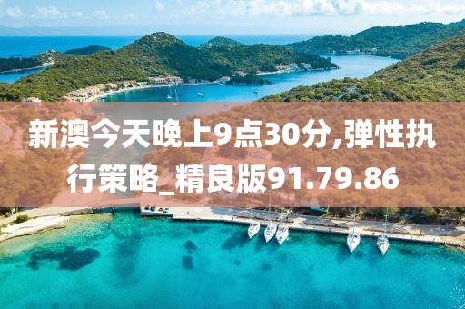 新澳今天晚上9點(diǎn)30分,彈性執(zhí)行策略_精良版91.79.86