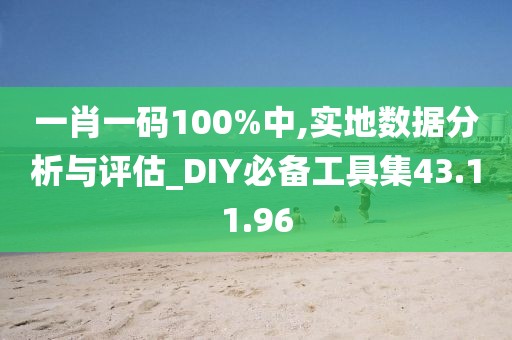 一肖一碼100%中,實(shí)地?cái)?shù)據(jù)分析與評估_DIY必備工具集43.11.96