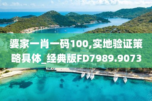婆家一肖一碼100,實地驗證策略具體_經典版FD7989.9073