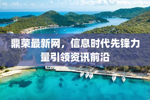 鼎榮最新網(wǎng)，信息時代先鋒力量引領(lǐng)資訊前沿