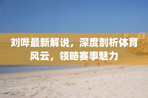 劉嗶最新解說，深度剖析體育風(fēng)云，領(lǐng)略賽事魅力