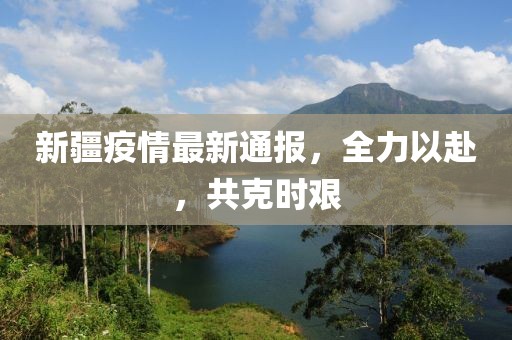 新疆疫情最新通報(bào)，全力以赴，共克時(shí)艱