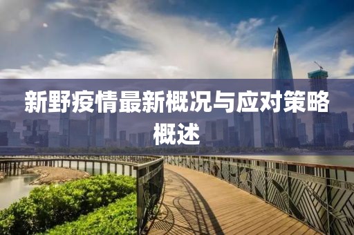 新野疫情最新概況與應(yīng)對策略概述