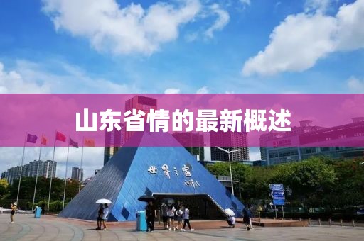 山東省情的最新概述