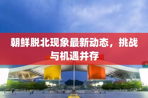 朝鮮脫北現(xiàn)象最新動態(tài)，挑戰(zhàn)與機(jī)遇并存
