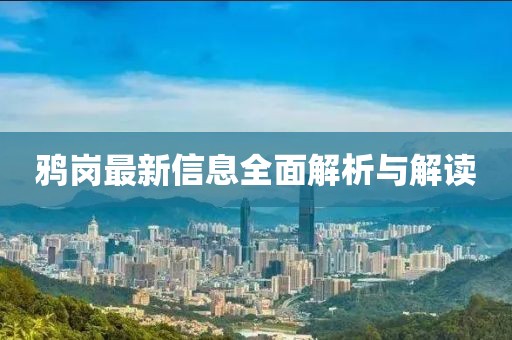 鴉崗最新信息全面解析與解讀