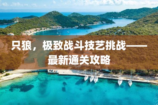 只狼，極致戰(zhàn)斗技藝挑戰(zhàn)——最新通關(guān)攻略
