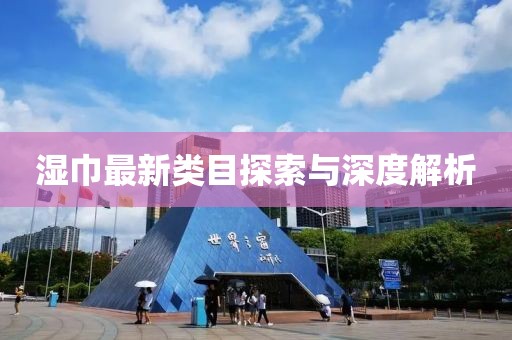 濕巾最新類目探索與深度解析