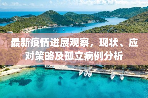 最新疫情進(jìn)展觀察，現(xiàn)狀、應(yīng)對策略及孤立病例分析