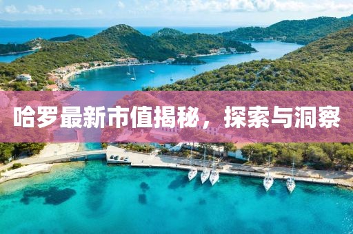 哈羅最新市值揭秘，探索與洞察