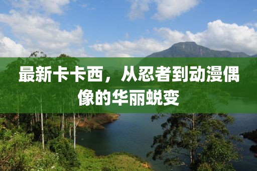 最新卡卡西，從忍者到動(dòng)漫偶像的華麗蛻變