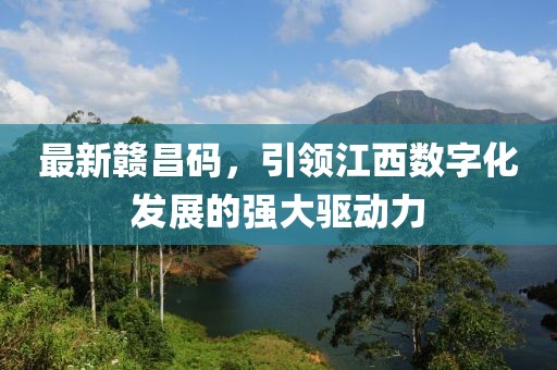 最新贛昌碼，引領(lǐng)江西數(shù)字化發(fā)展的強大驅(qū)動力