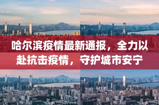 哈爾濱疫情最新通報(bào)，全力以赴抗擊疫情，守護(hù)城市安寧