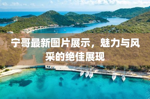 寧哥最新圖片展示，魅力與風(fēng)采的絕佳展現(xiàn)