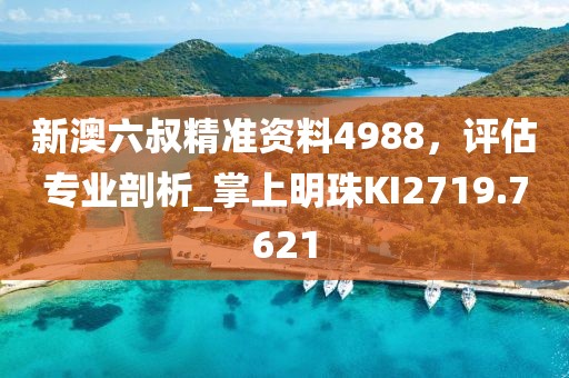 新澳六叔精準資料4988，評估專業(yè)剖析_掌上明珠KI2719.7621