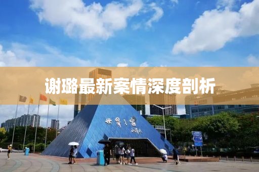 謝璐最新案情深度剖析