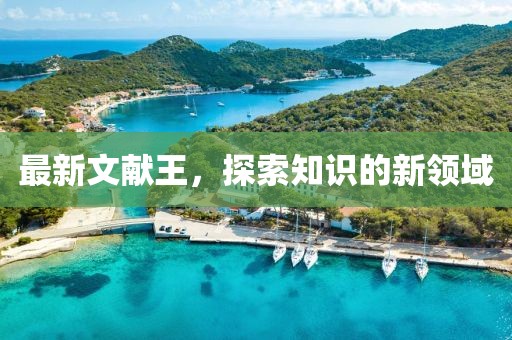 最新文獻(xiàn)王，探索知識(shí)的新領(lǐng)域