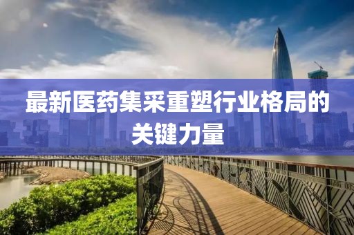 最新醫(yī)藥集采重塑行業(yè)格局的關鍵力量