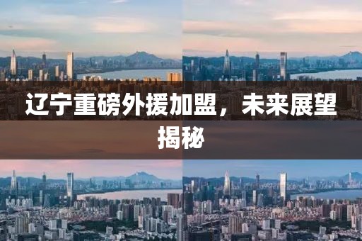遼寧重磅外援加盟，未來展望揭秘