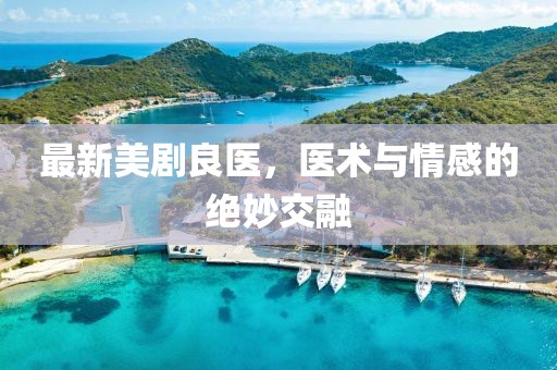 最新美劇良醫(yī)，醫(yī)術(shù)與情感的絕妙交融