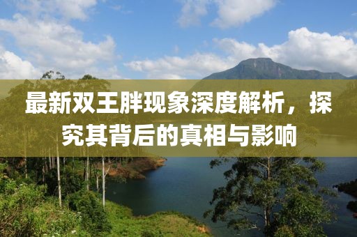 最新雙王胖現(xiàn)象深度解析，探究其背后的真相與影響